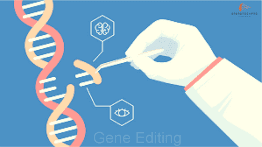 How Gene Editing CRISPR is Revolution Medicine and Agriculture